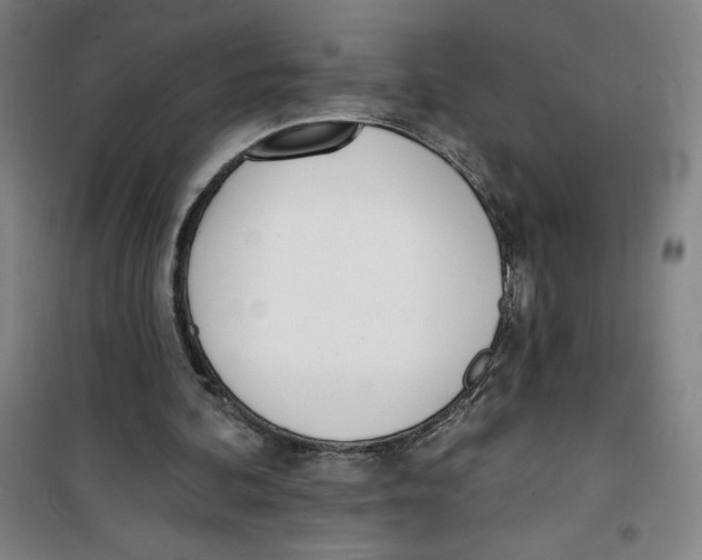 X0000100320292200807031217