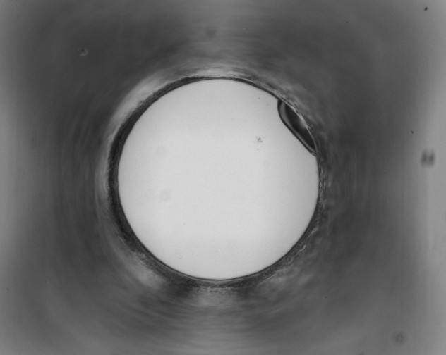 X0000100320296200807031217