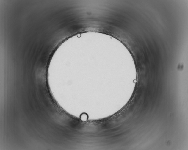 X0000100320297200807031217