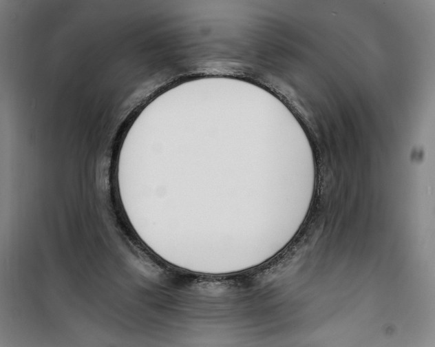 X0000100320299200807031217