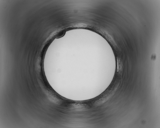 X0000100320300200807031217