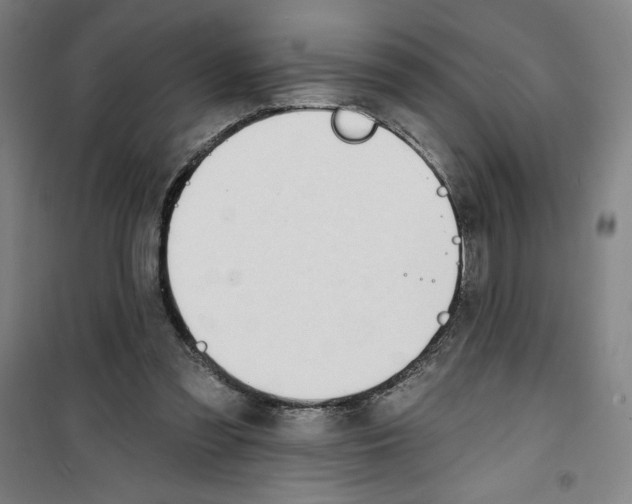 X0000100320301200807031217