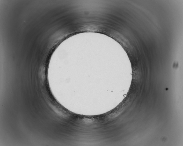 X0000100320302200807031217