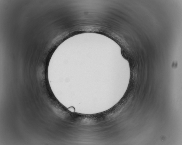 X0000100320303200807031217