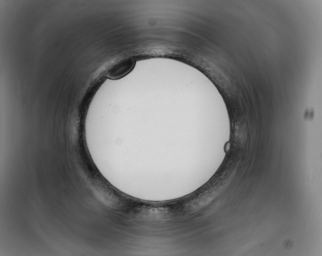 X0000100320304200807031217