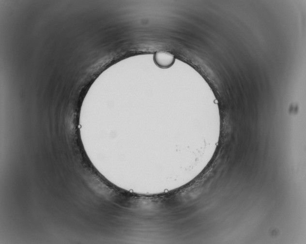 X0000100320305200807031217