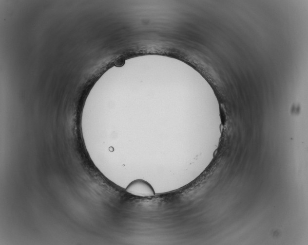 X0000100320306200807031217