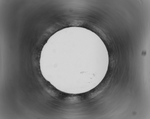 X0000100320307200807031217