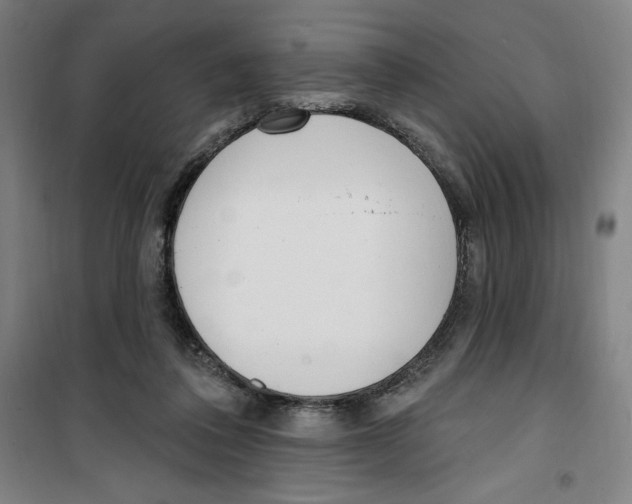 X0000100320308200807031217