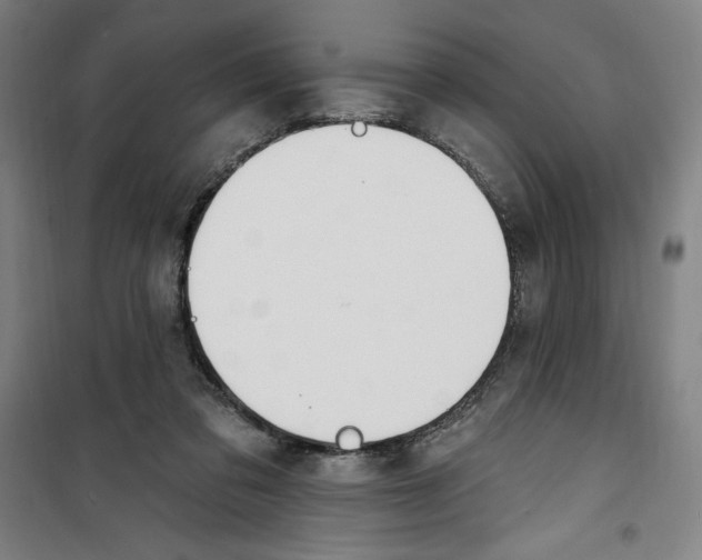 X0000100320309200807031217