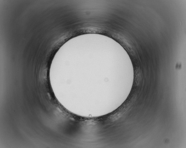 X0000100320310200807031217