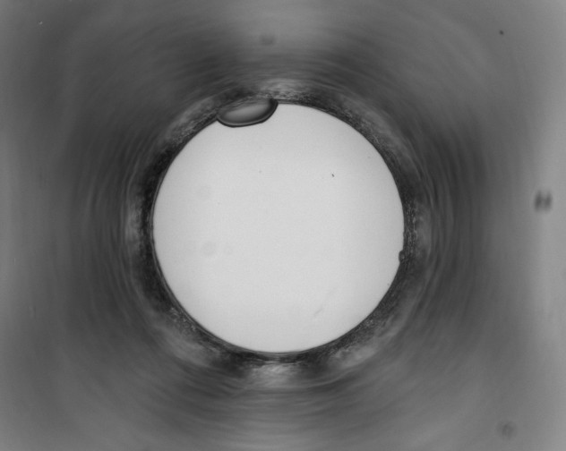 X0000100320312200807031217