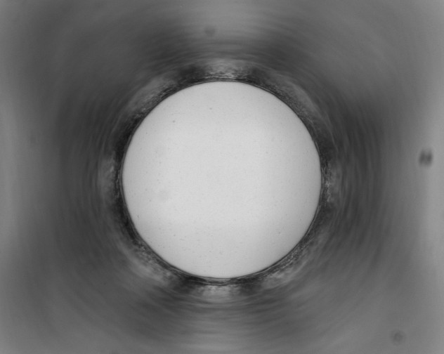 X0000100320314200807031217