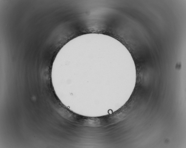 X0000100320317200807031217