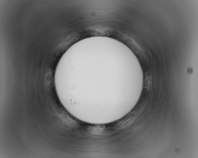 X0000100320318200807031217