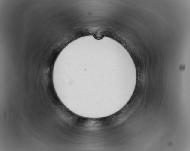 X0000100320319200807031217