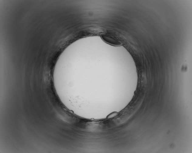 X0000100320320200807031217