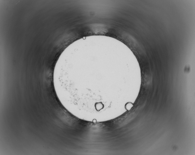 X0000100320321200807031217