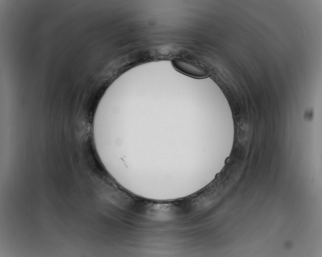 X0000100320324200807031217