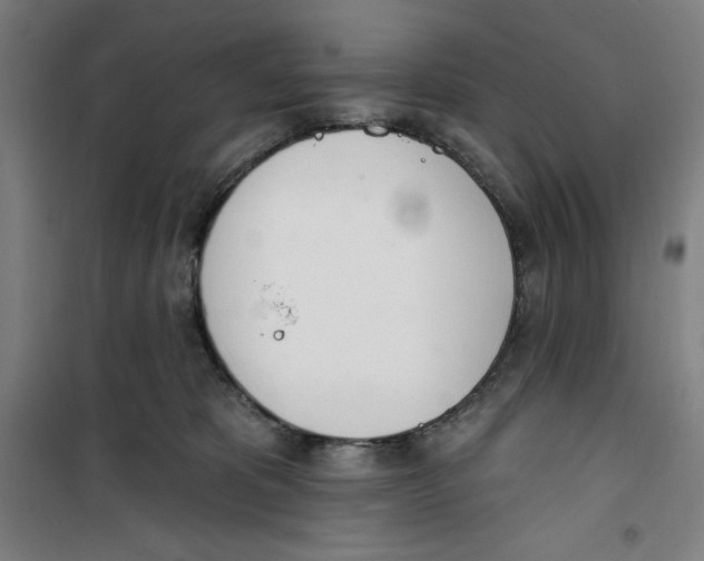 X0000100320325200807031217