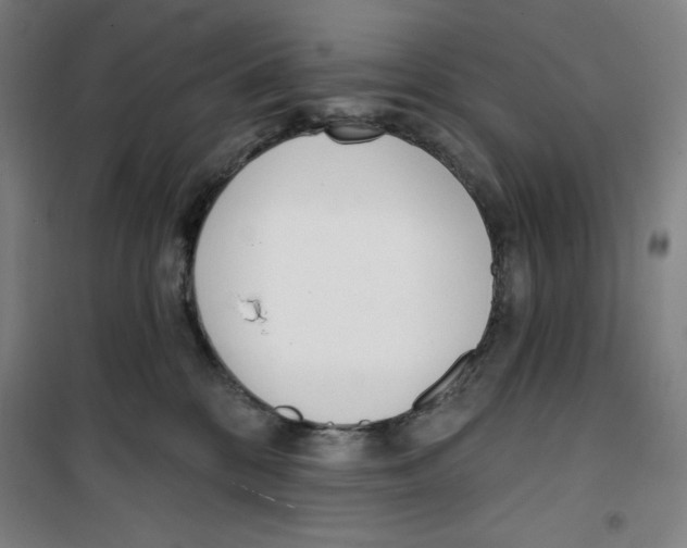 X0000100320328200807031217