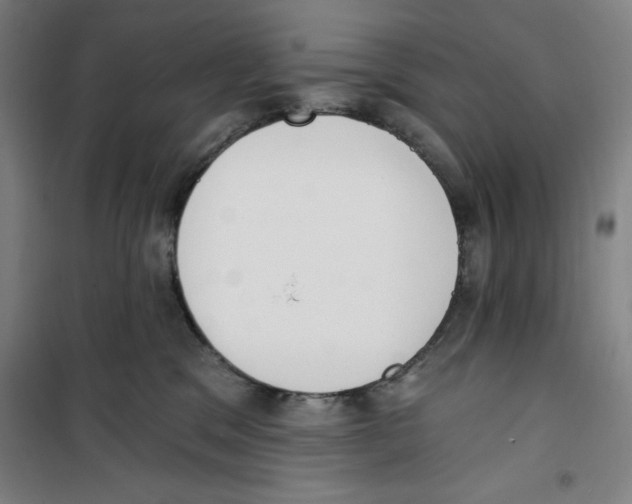 X0000100320329200807031217