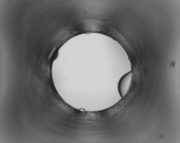 X0000100320330200807031217