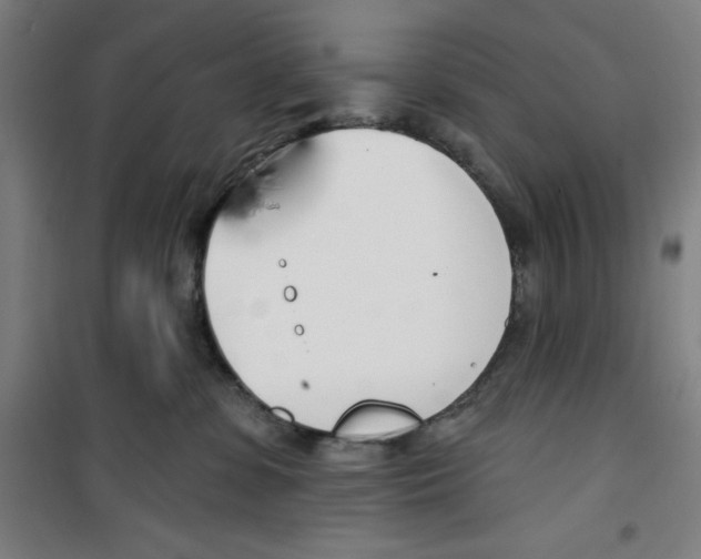 X0000100320331200807031217