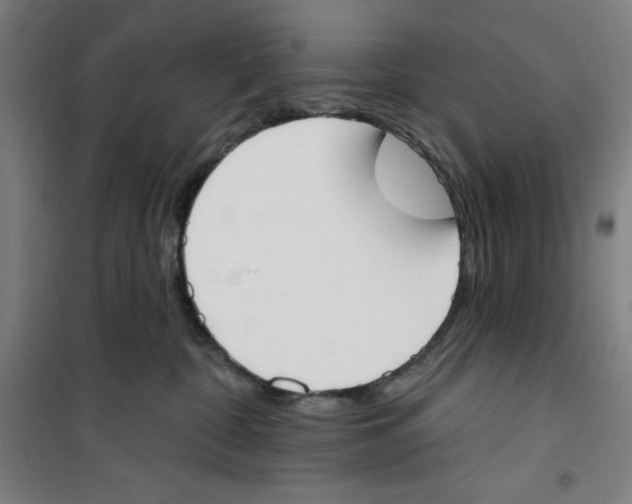 X0000100320332200807031217