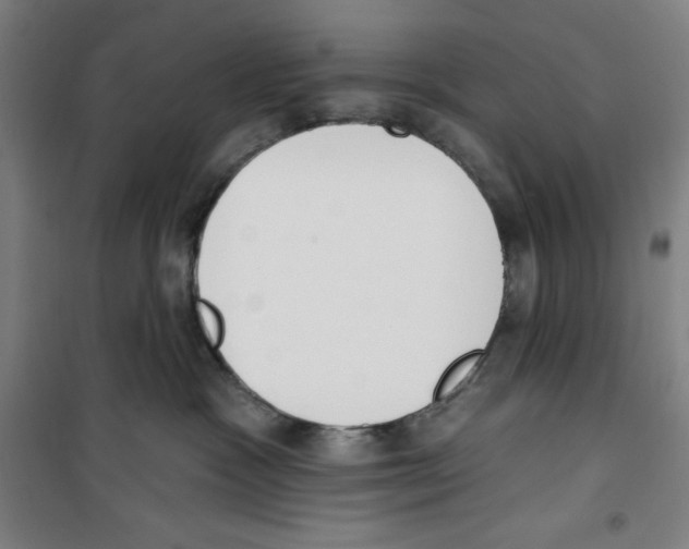 X0000100320333200807031217