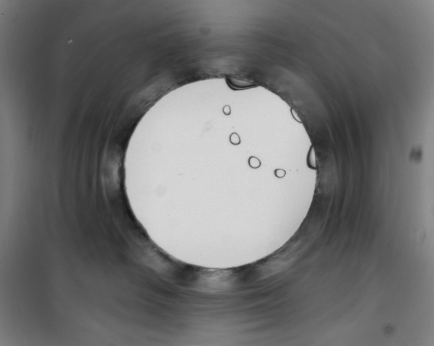 X0000100320334200807031217