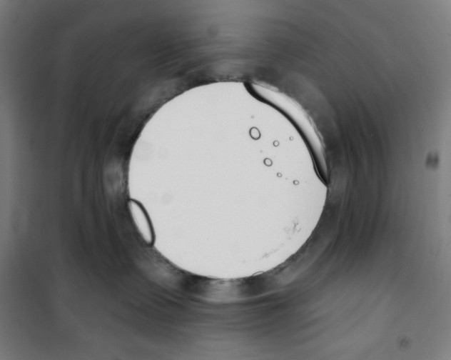 X0000100320335200807031217