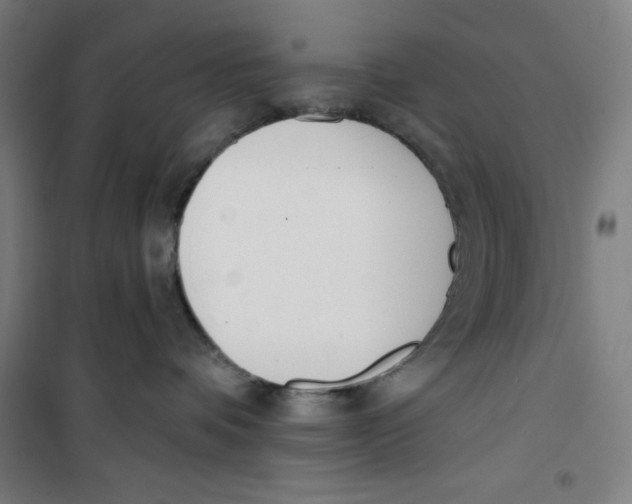 X0000100320336200807031217