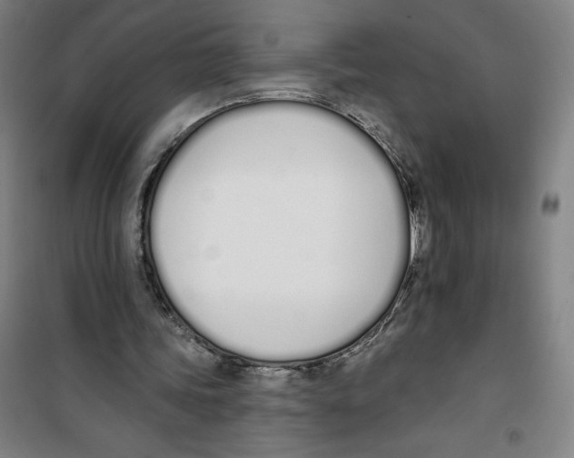 X0000100320339200807031216