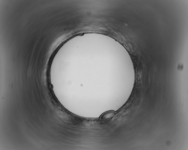 X0000100320340200807031216