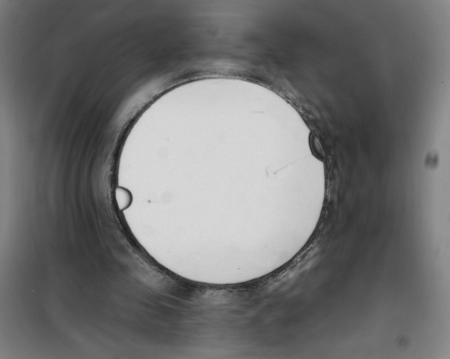 X0000100320341200807031216