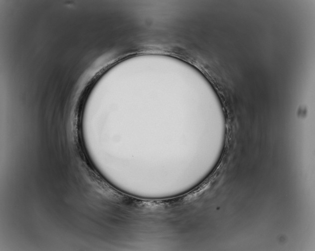 X0000100320343200807031216