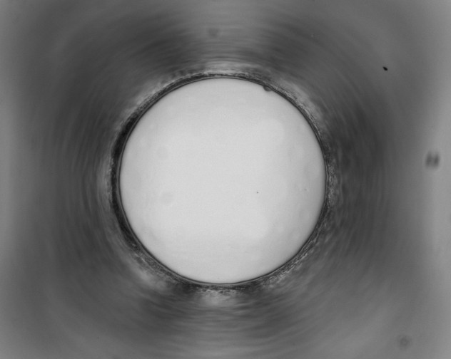 X0000100320346200807031216