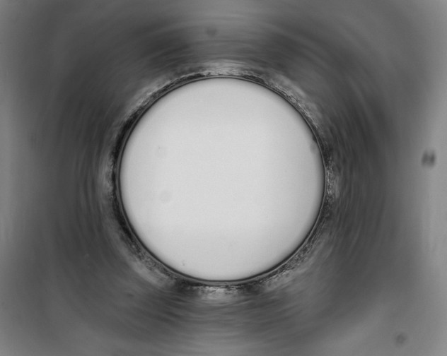 X0000100320347200807031216