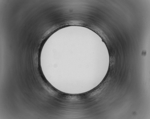 X0000100320349200807031216