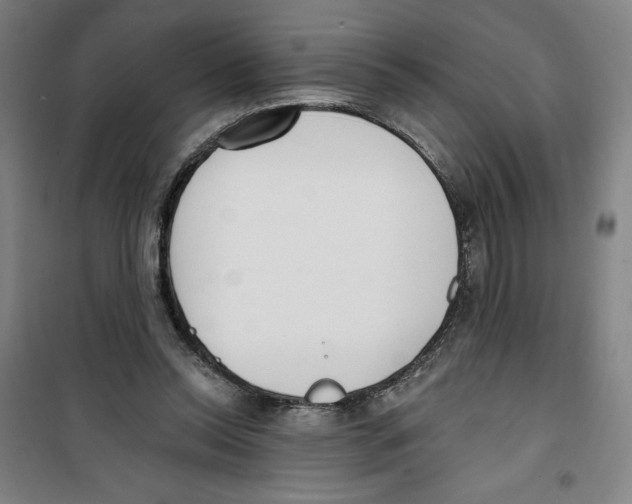 X0000100320350200807031216