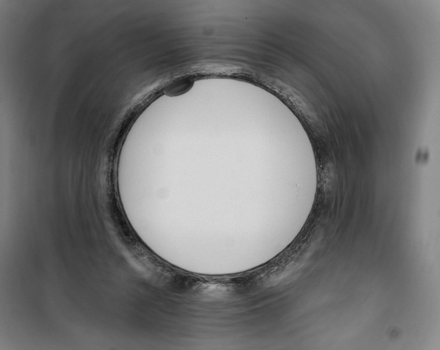 X0000100320352200807031216