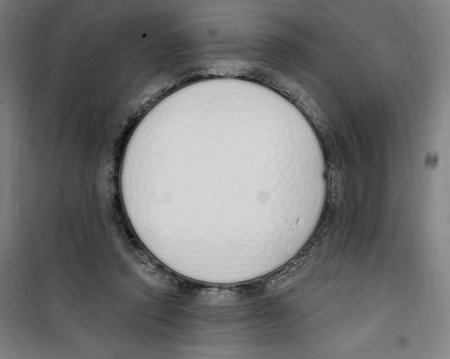 X0000100320354200807031216