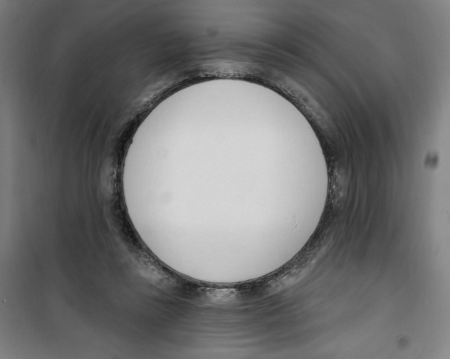 X0000100320355200807031216