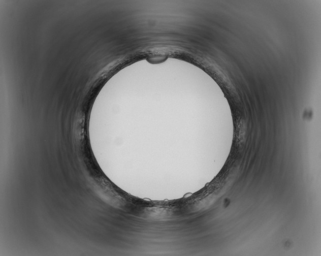 X0000100320356200807031216