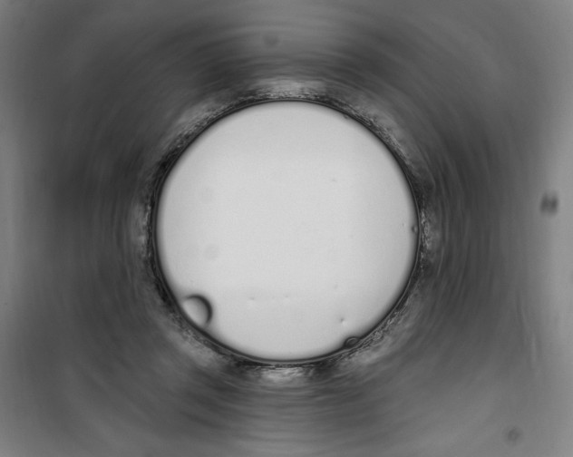 X0000100320357200807031216