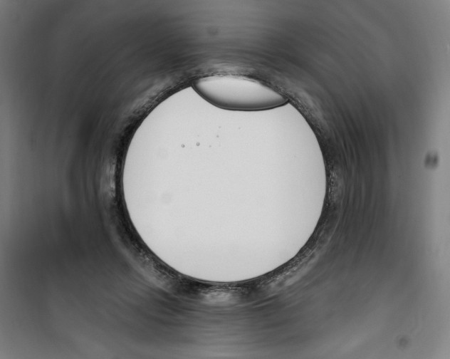 X0000100320358200807031216