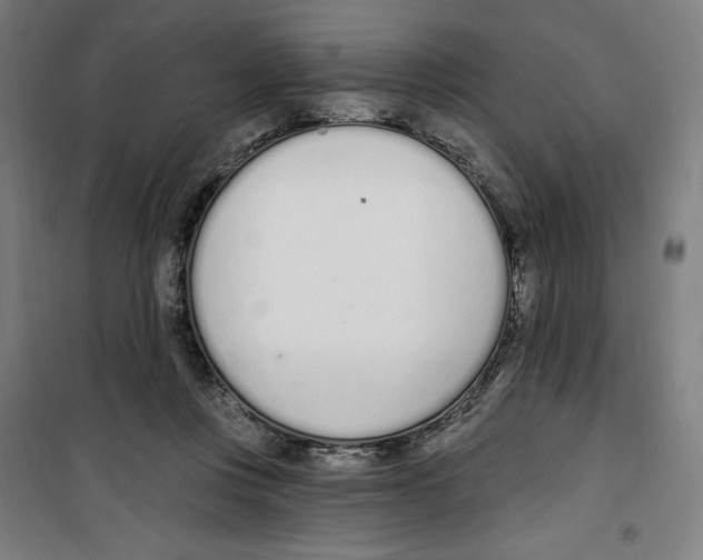 X0000100320359200807031216