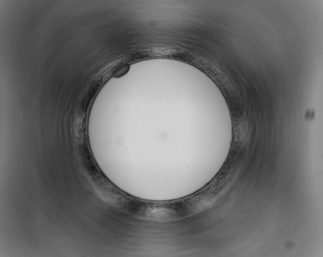 X0000100320360200807031216