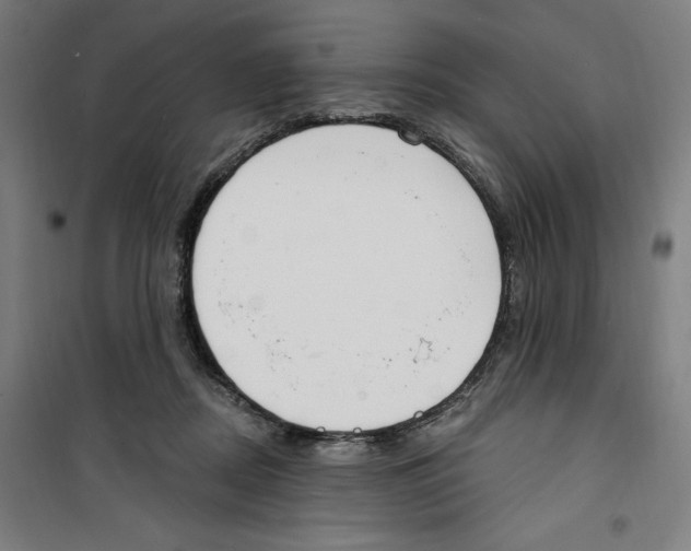 X0000100320362200807031216